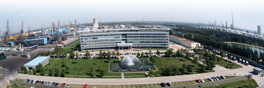 山東京博控股集團(tuán)有限公司